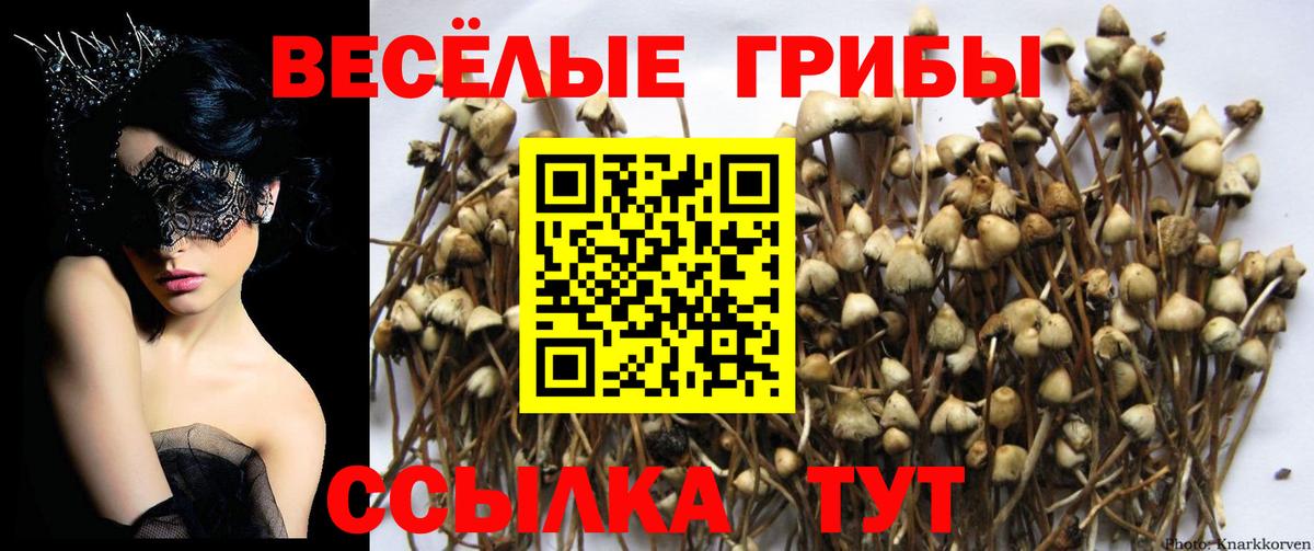 Нижний Новгород  Галлюциногенные грибы Magic Shrooms  Вход с VPN 